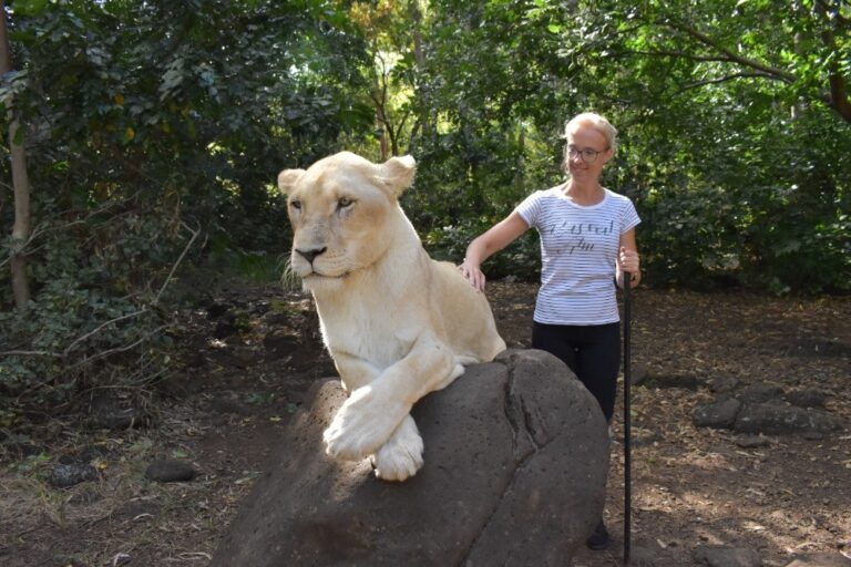 Když kráčíte mezi lvy, odvaha nestačí – potřebujete strategii